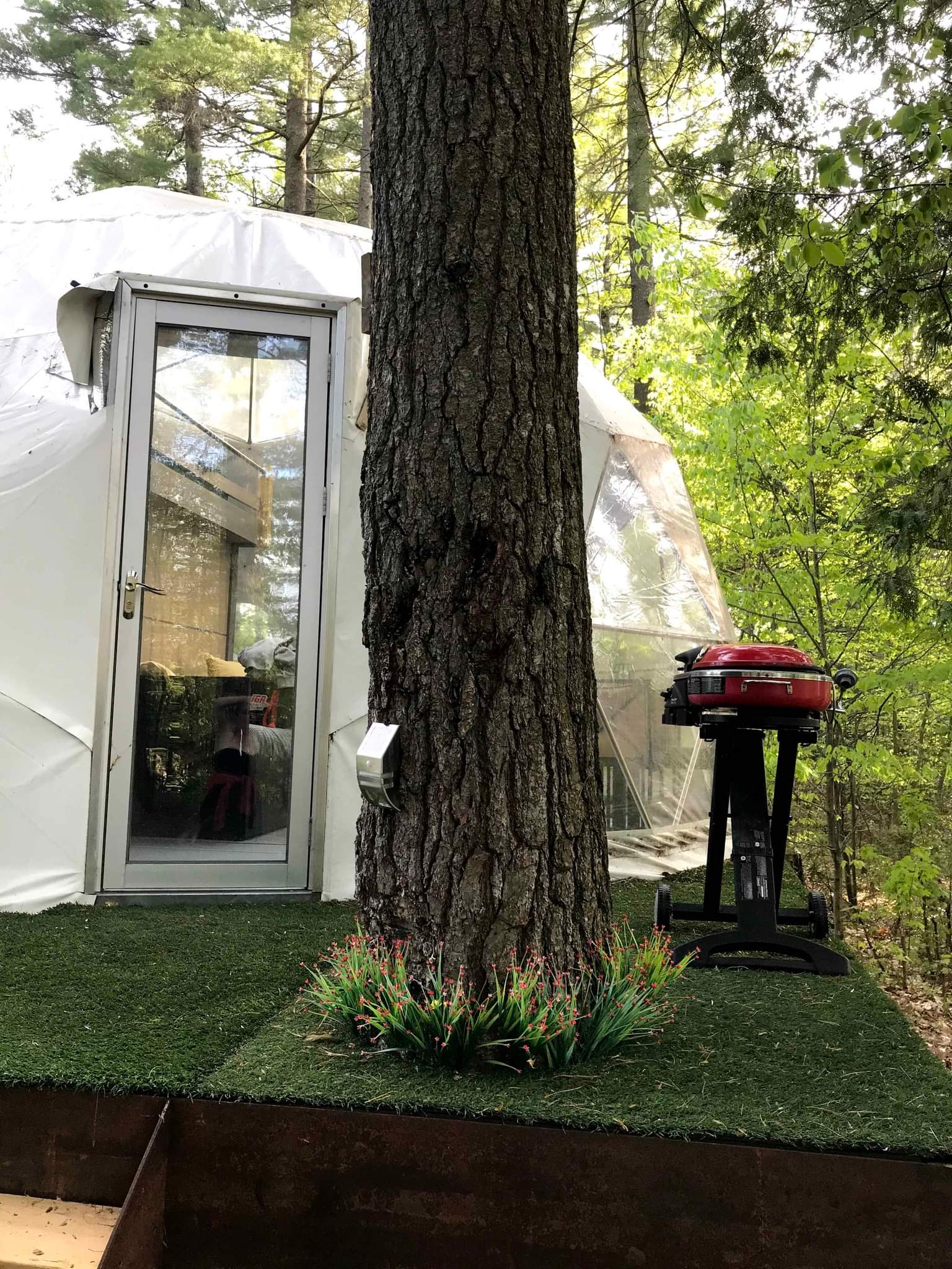 Dôme 4 saisons - Structures - Shawbridge, Quebec | Facebook Marketplace ...
