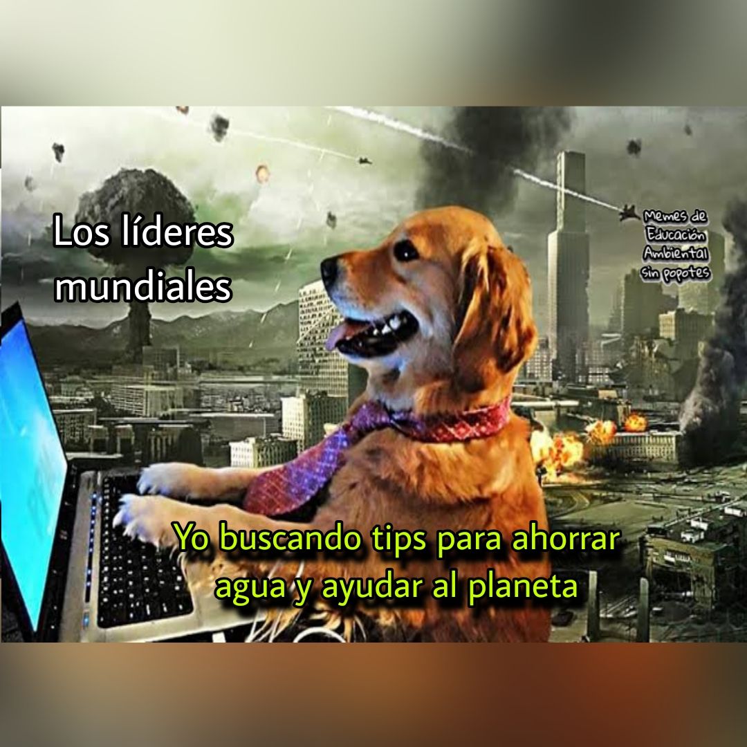 Memes - Han asesinado a 25 defensores ambientales y de derechos humanos ...