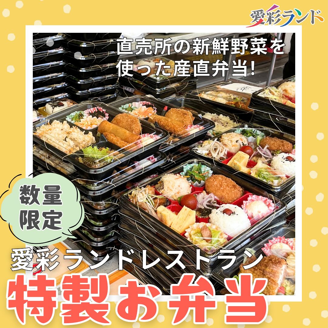岸和田 愛 彩 ランド
