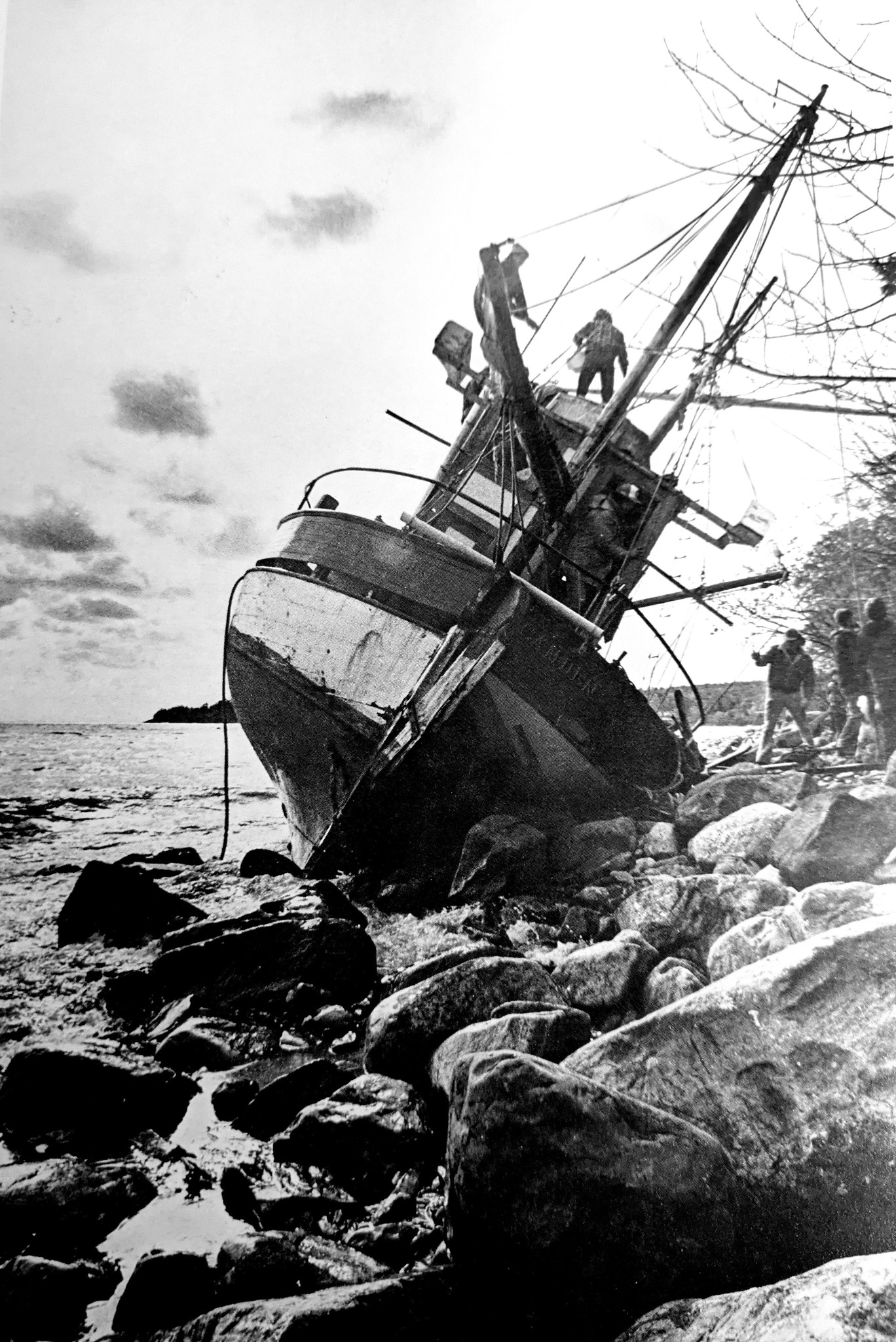 Old Pictures of Forgotten Maine | The fifty foot trawler Walborg was ...