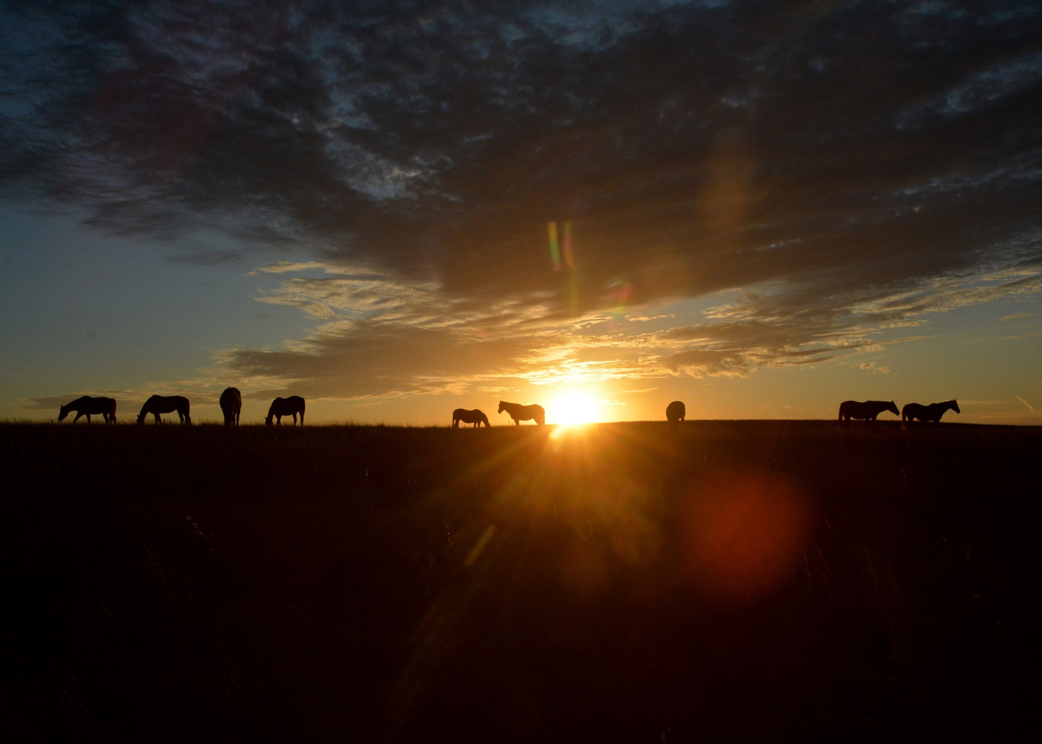 Sun Valley Ranch | Mott ND