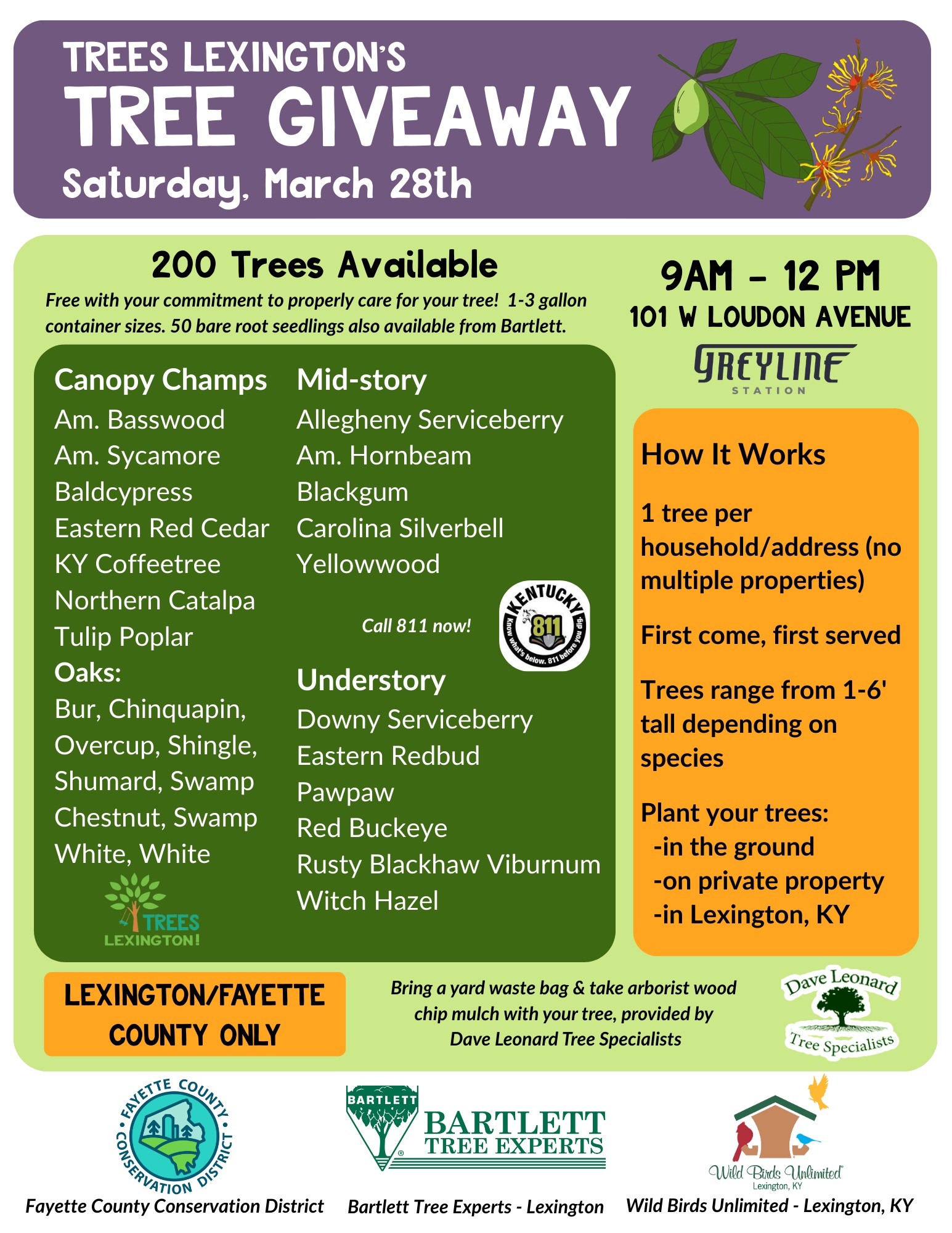 Spring Tree Giveaway