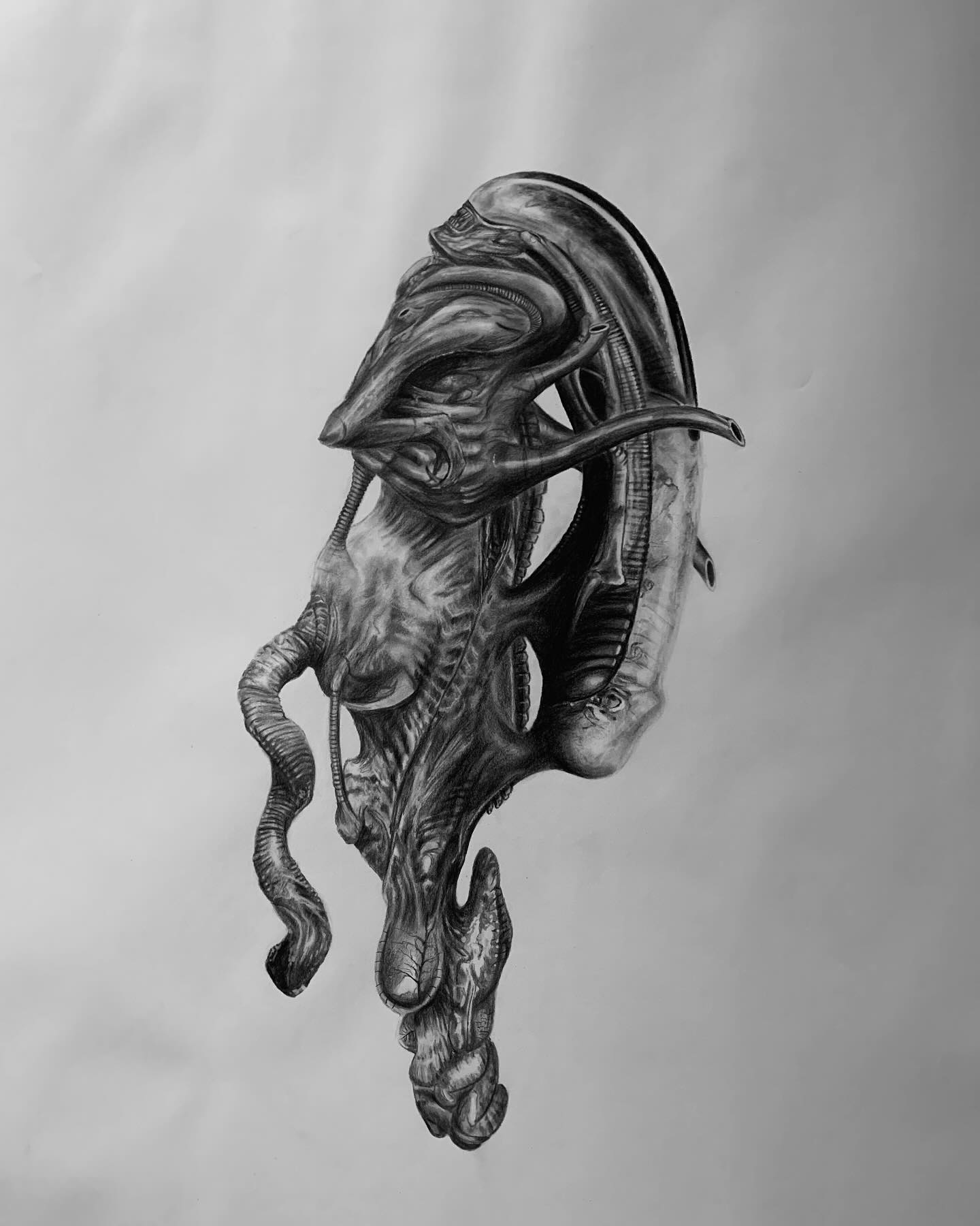 Connor - The beginning stages of a Xenomorph mutation, drawn on A1 ...