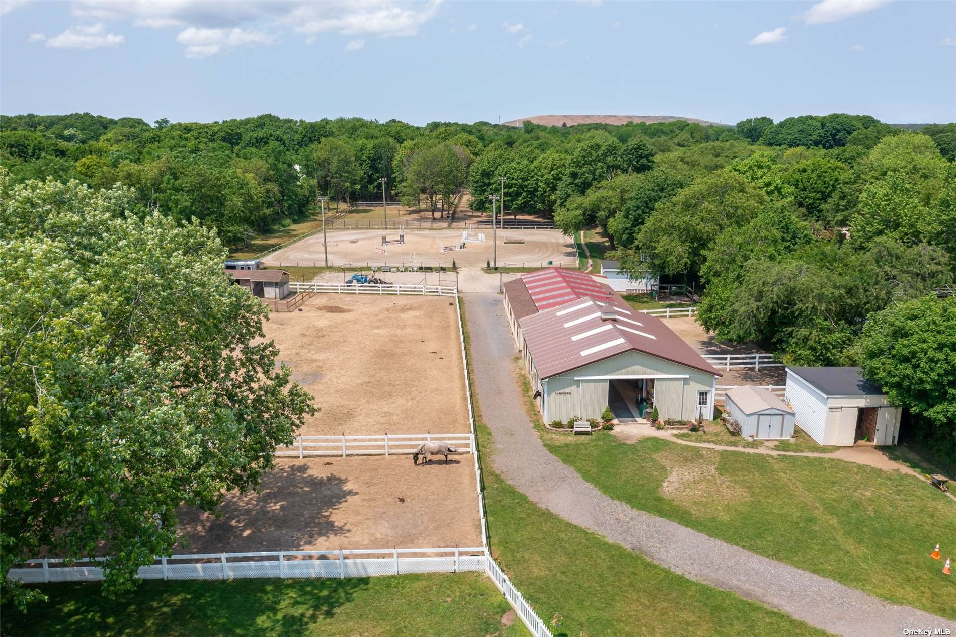 Best HD Pictures about  Long Island Horse Properties  with No AI Images