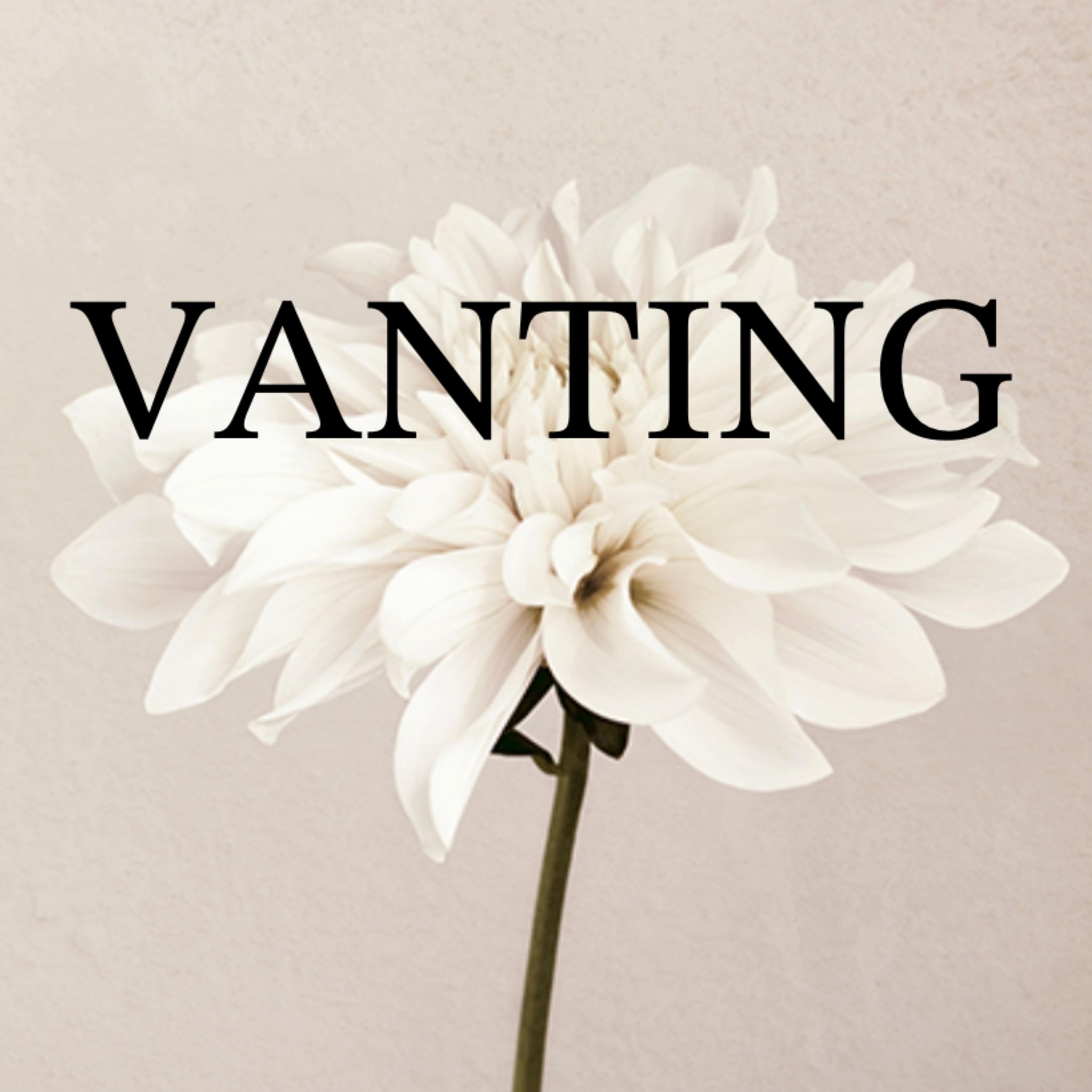 Vanting Collection-mode til kvinder