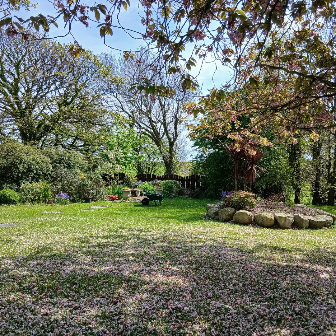 BCM Mullartown House | Newry