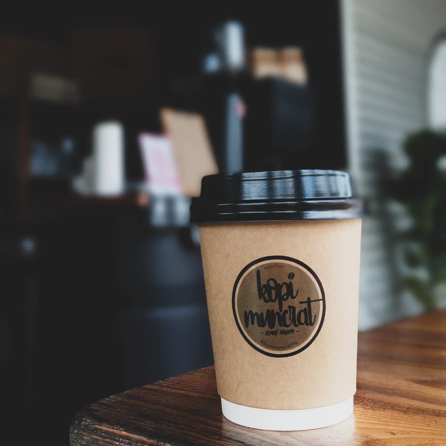 Kopi Muncrat Hq | Rengit