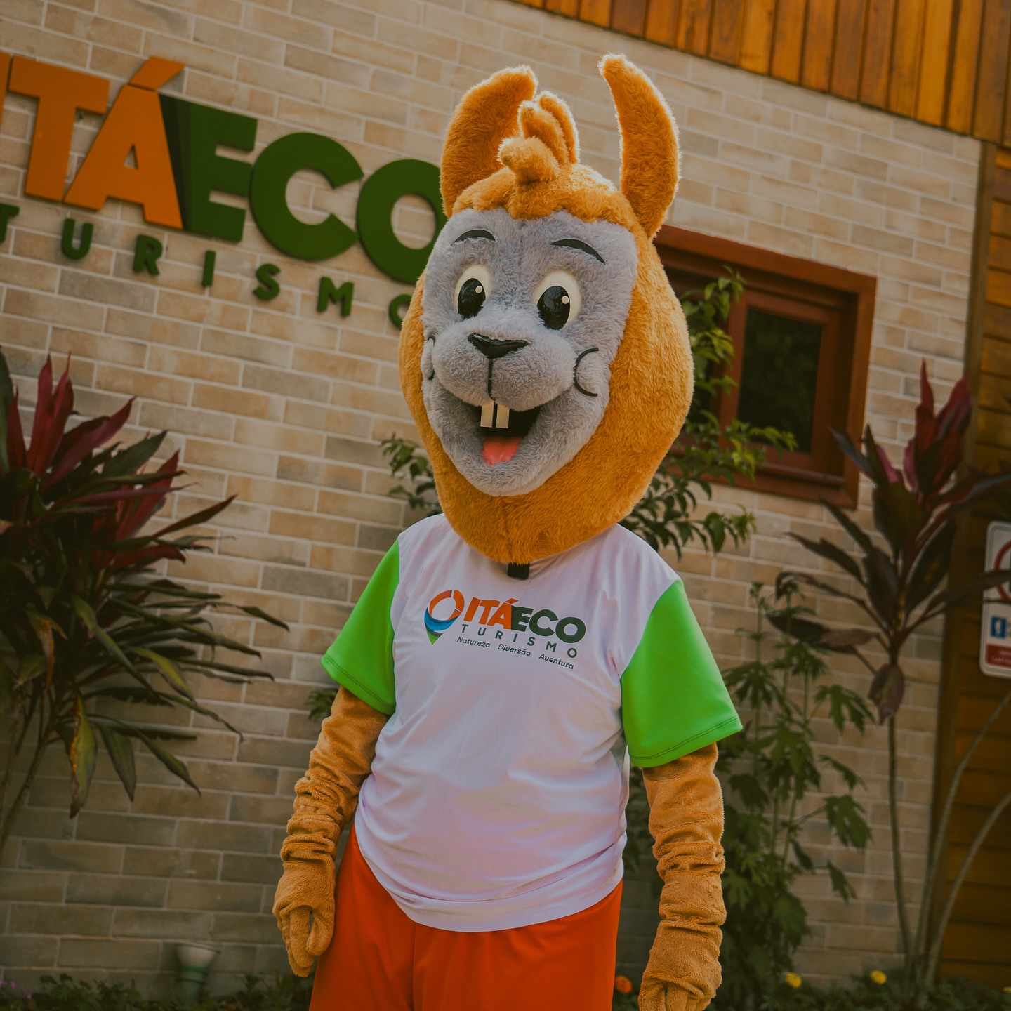 Itá - ☀️🦙O Lhan está aqui para lembrar: a aventura te chama no Itá Eco ...