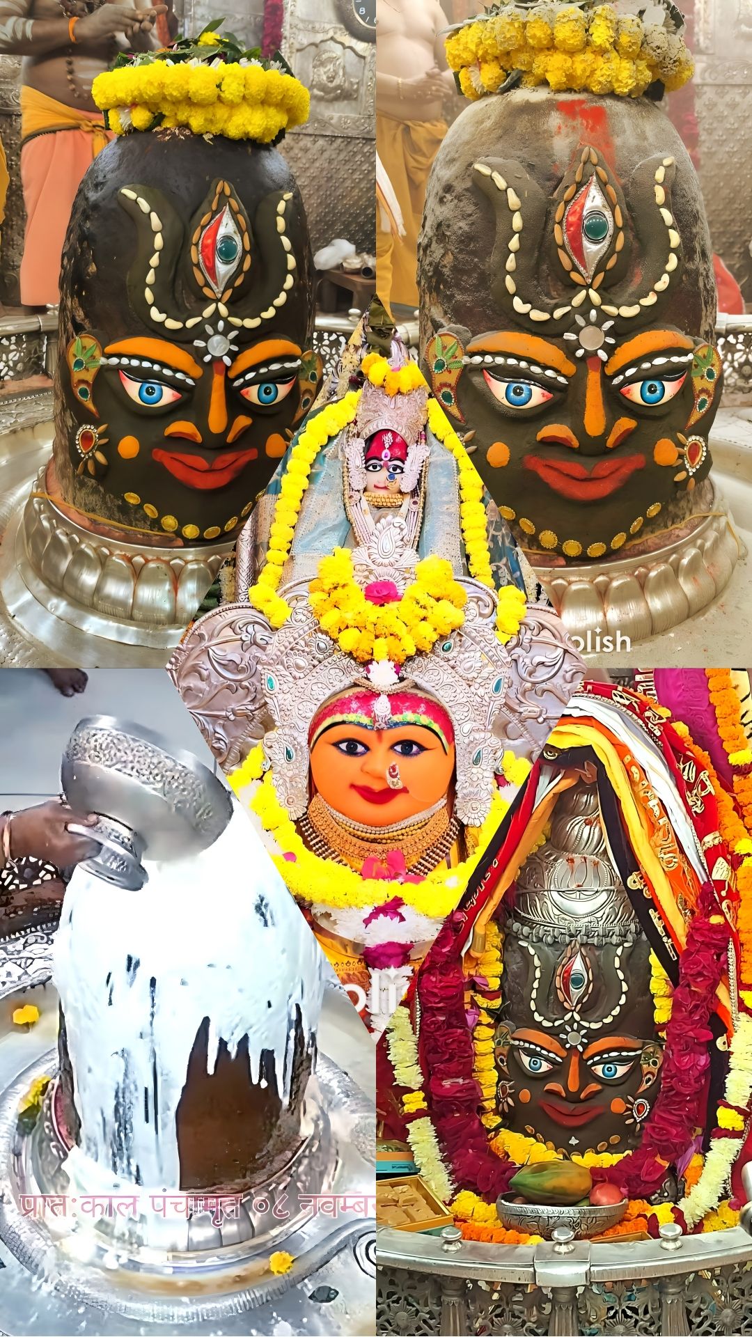 Surati Modh Vanik | 08/11/2024 JAY SHRI MAHAKAL MAHADEV JI Ujjain ...