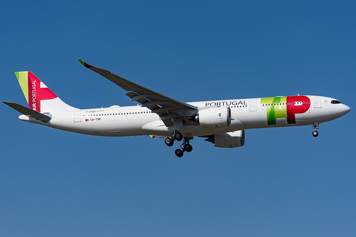 A330neo TAP Air Portugal template for 1/120 or 1/100 scale
