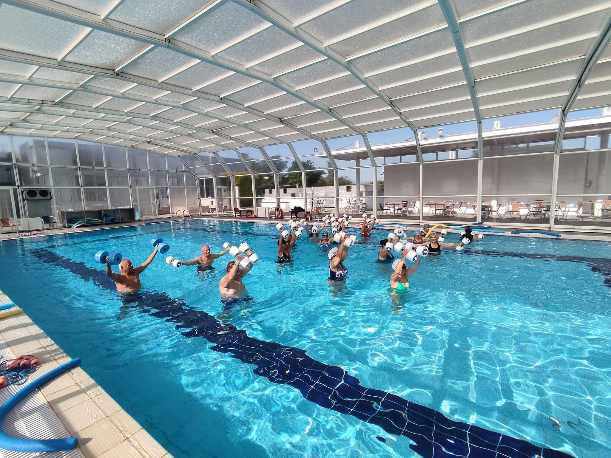 Ginger Swimming Pool | Latsia