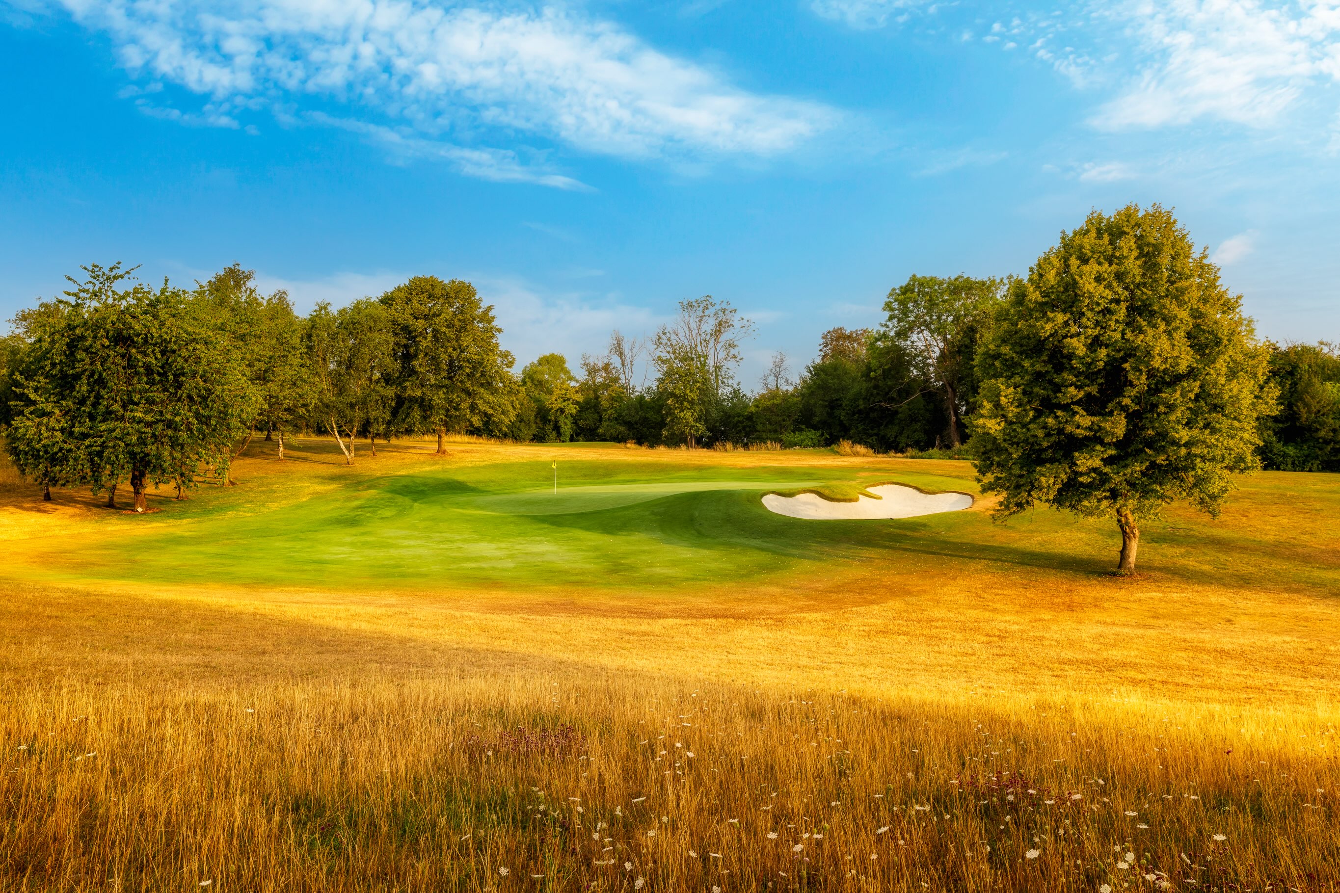 Congratulations... - Mytime Active at Lickey Hills Golf Course | Facebook