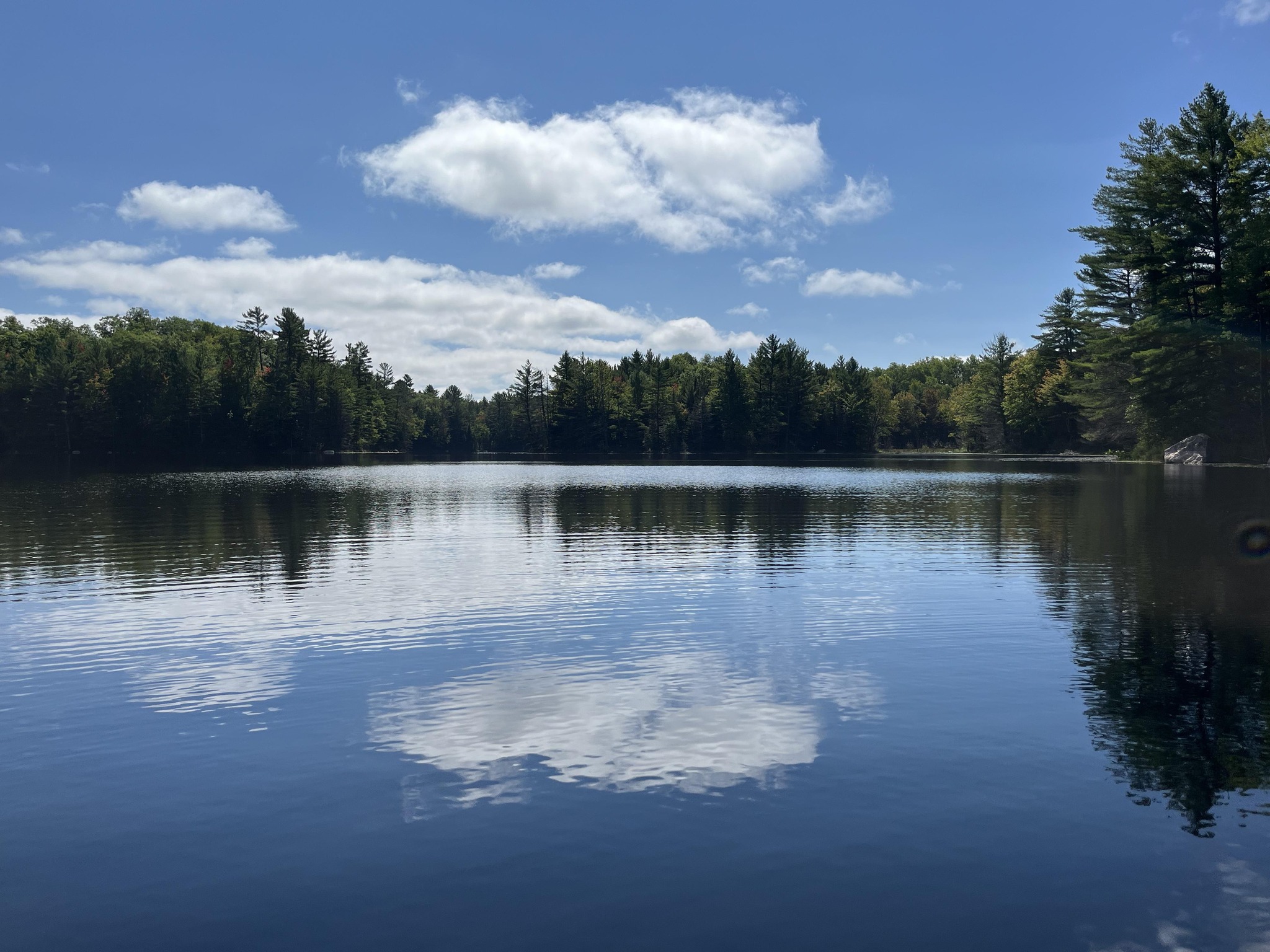 How To Make Your Own Font Out Of Your Handwriting