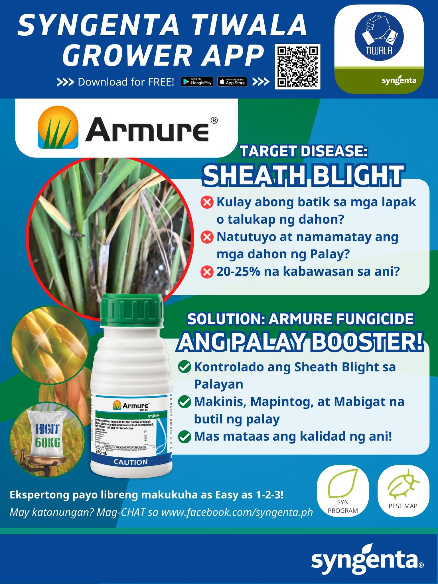 Syngenta - May napapansin ka bang kulay abong batik sa mga lapak o ...