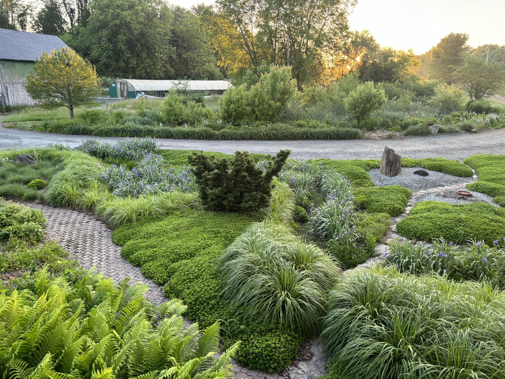 Garden Rant - A new photo of the most beautiful storm... | Facebook