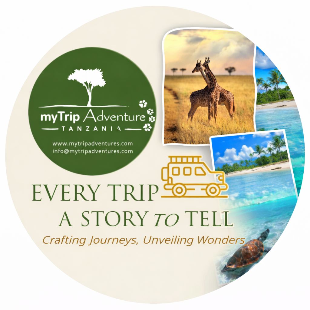 Curated visual reference: Gallery Detail: Mytrip Adventure Tanzania