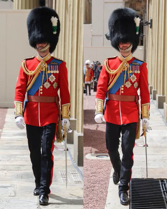 Prince William: Future King [DVD](中古品) Prince William is every inch a future King 👑🇬🇧💂