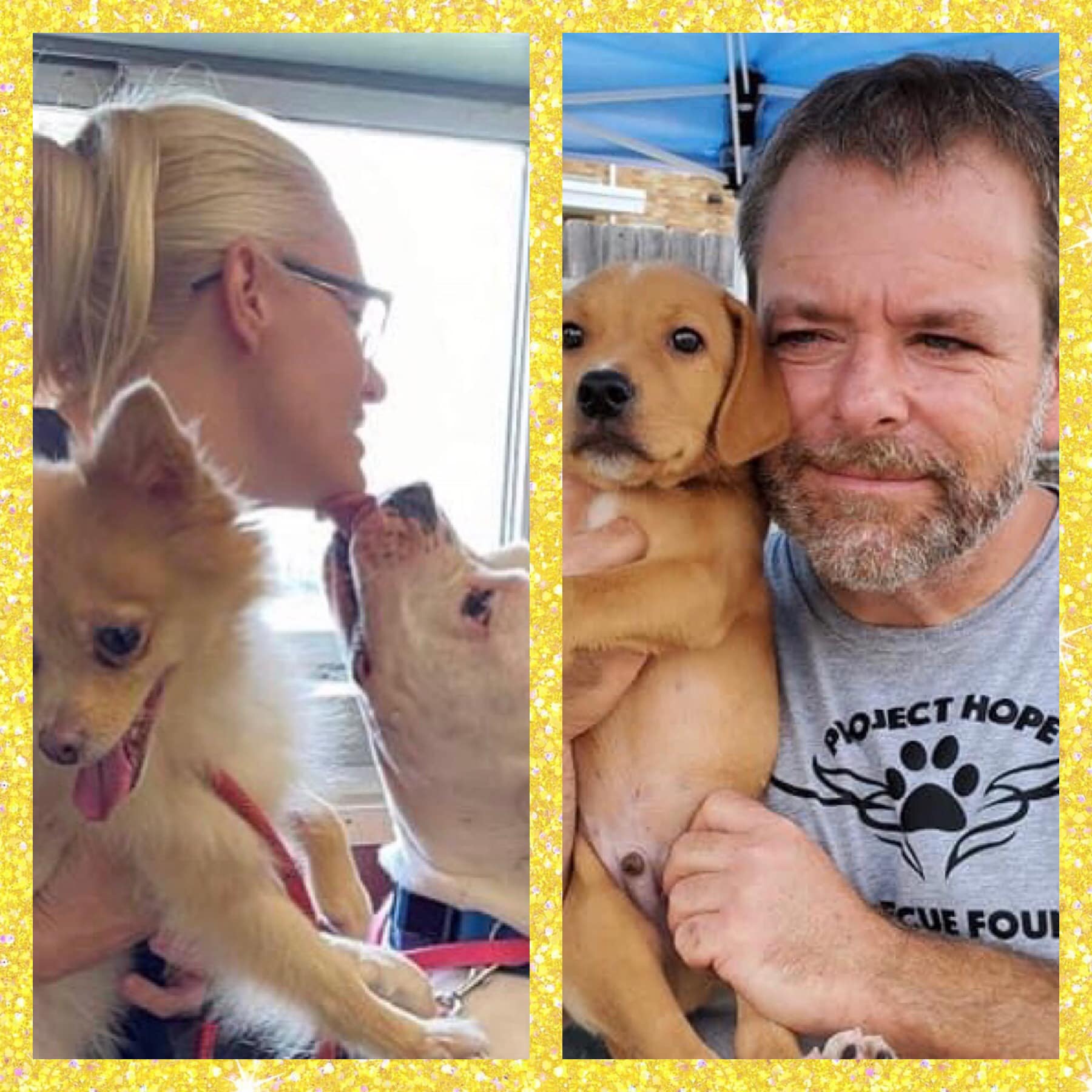 Project Hope... - Project Hope Animal Rescue Foundation | Facebook