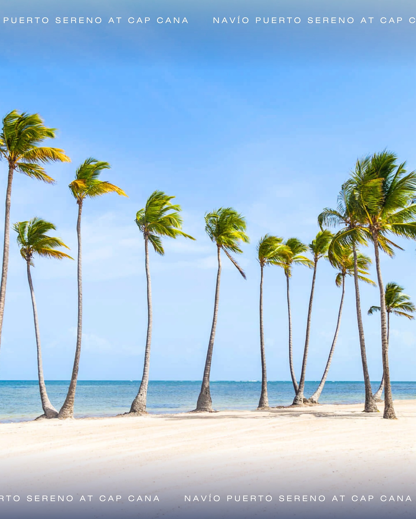 Navio Puerto Sereno | Punta Cana
