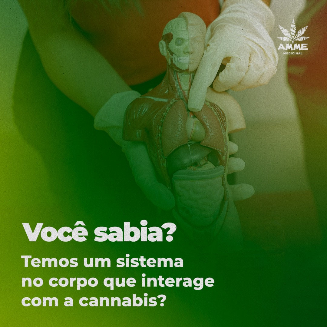AMME - O sistema endocanabinoide (SEC) é uma rede de receptores ...