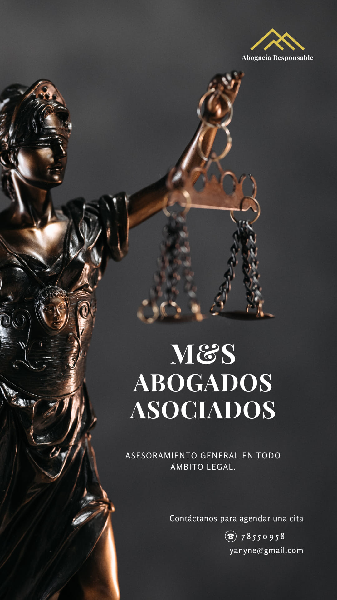 "M & S" Abogados Asociados | Santa Cruz de la Sierra