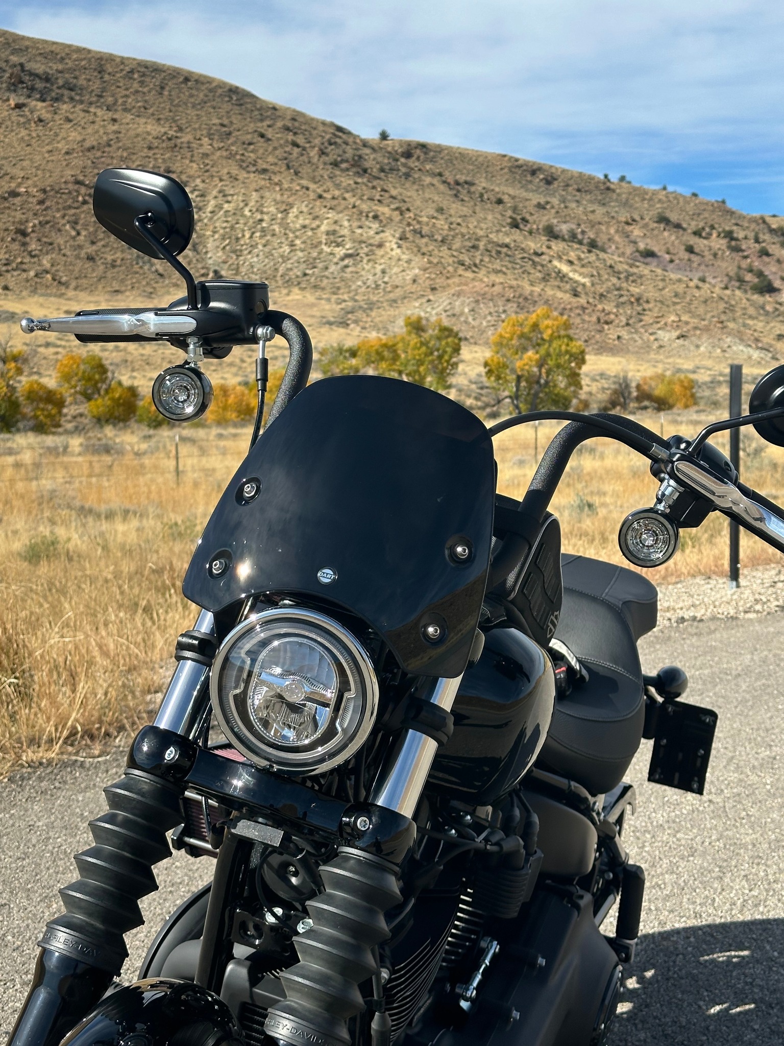 Harley Davidson FXD Dyna, featuring the Classic S3 Translucent