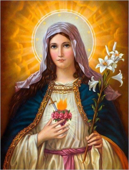 Heart - Act of Consecration to the Immaculate Heart of Mary Queen of ...