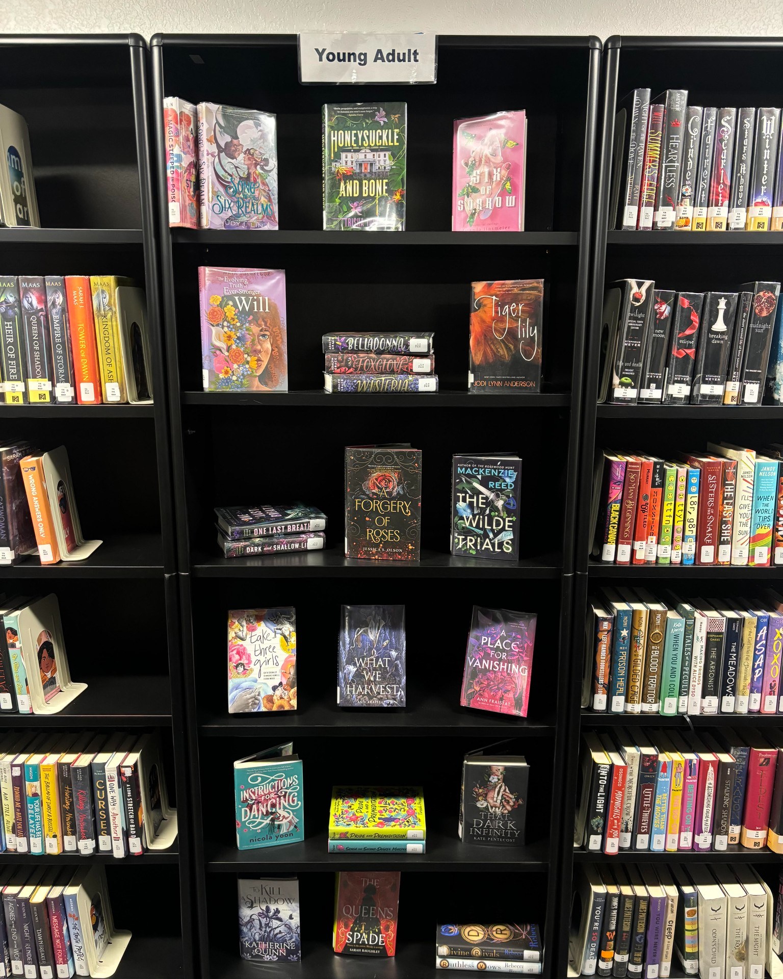 Tyndall - 🌸🌷 Freshen up your reading list this spring! 🌿 Come explore ...