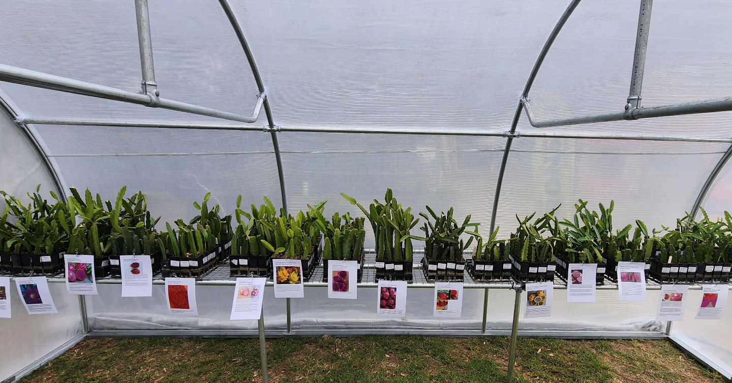 Argosee Greenhouse Technology | Walliston WA