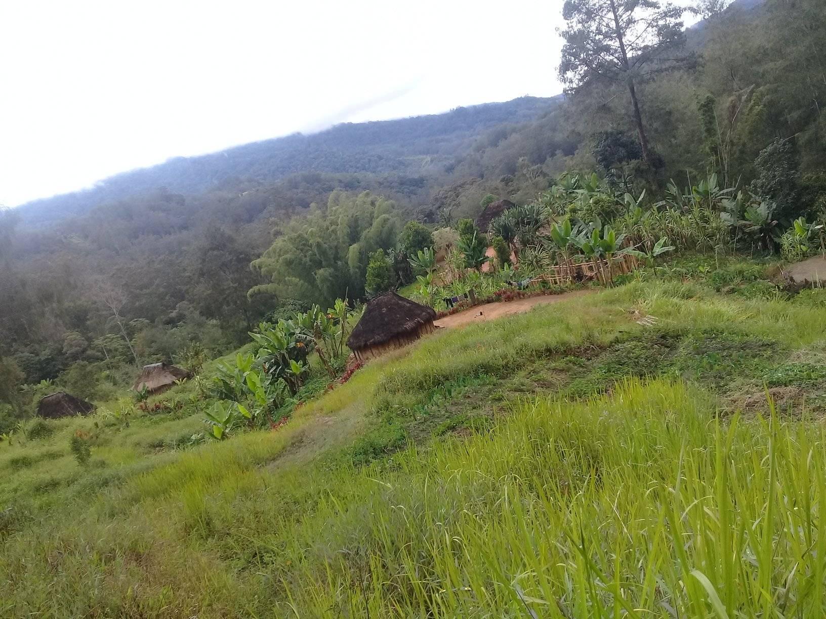 OK5 Onlite - Saw the remote parts of Okapa and saw how struggle it was ...