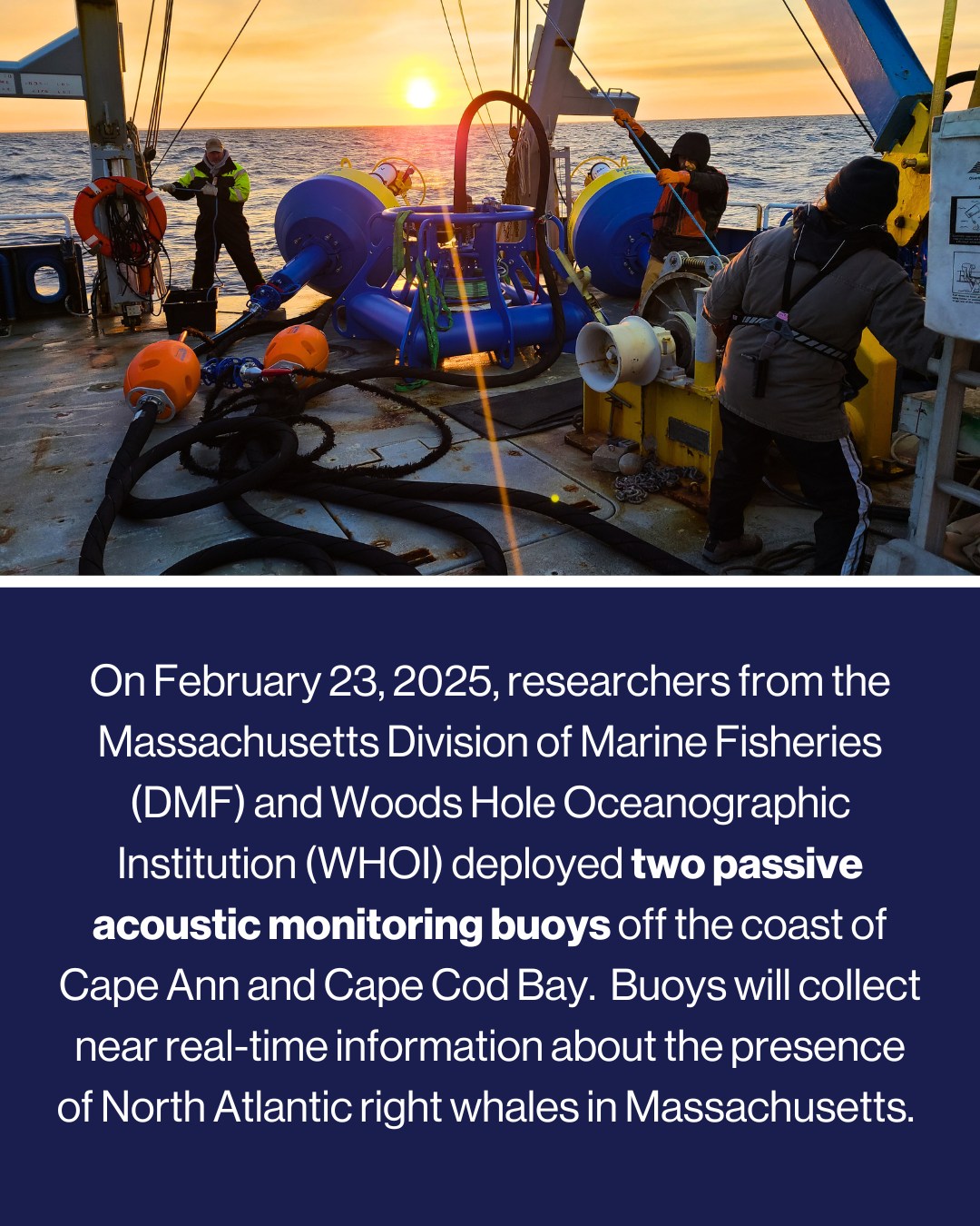 Massachusetts Division of Marine Fisheries