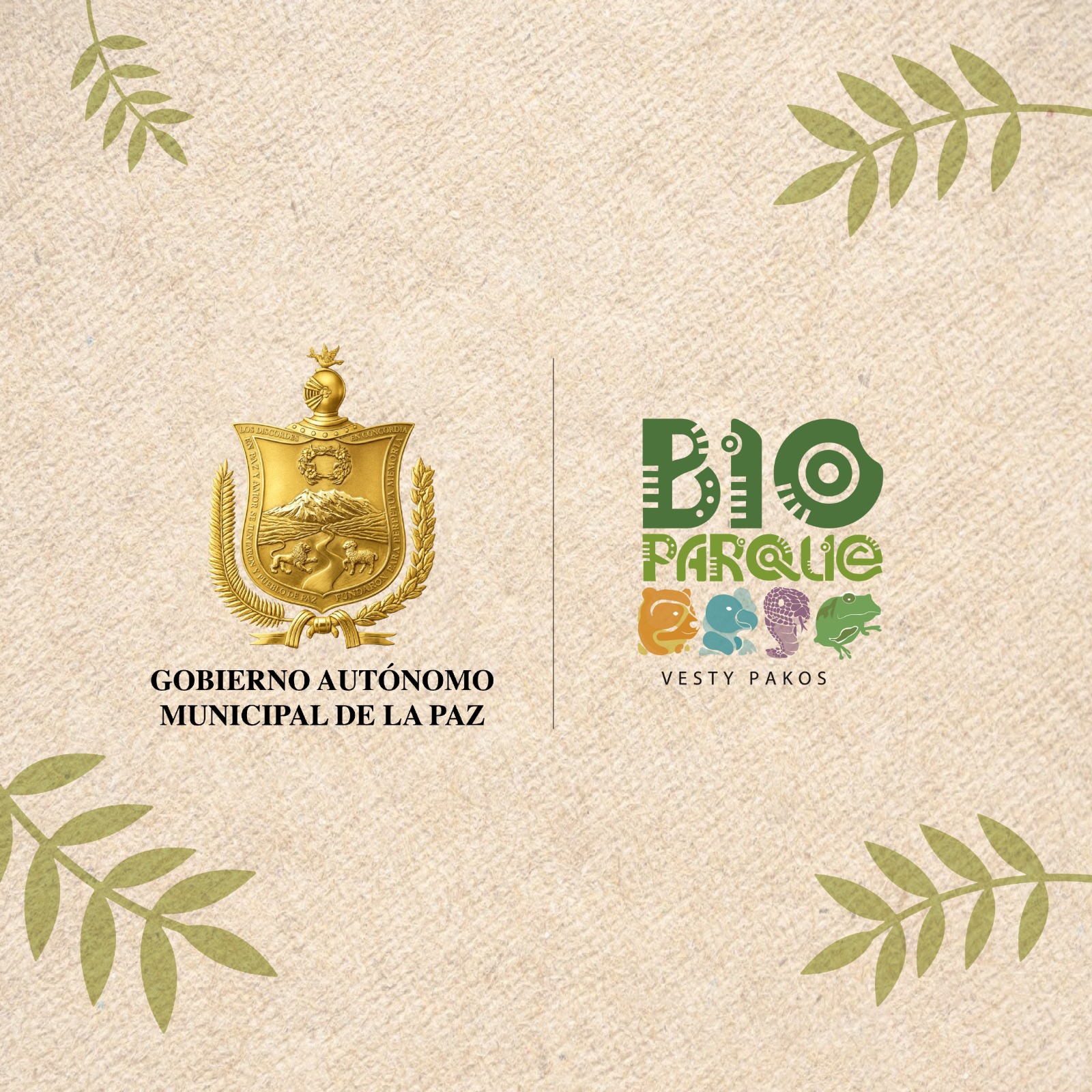🦅🏔️ Día Internacional del Cóndor Andino celebramos a una de las aves ...