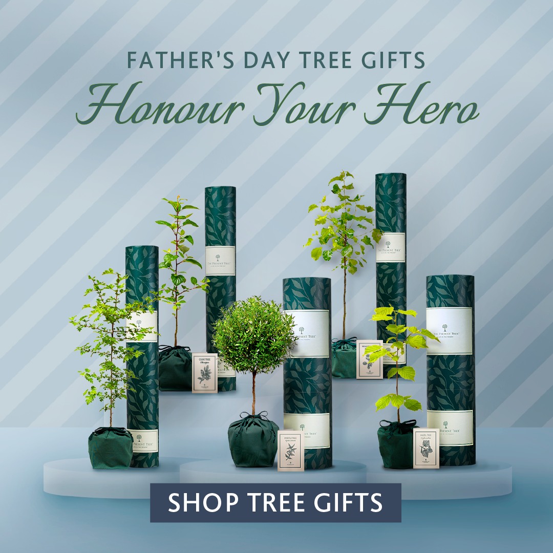 ⏰ Father’s Day is just a week away –... - The Present Tree | Facebook