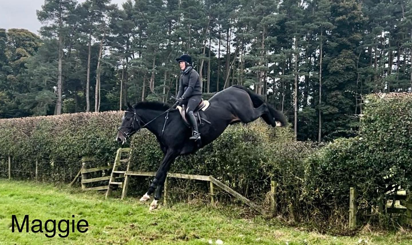 With eventing slowly coming to a conclusion, we were very happy to