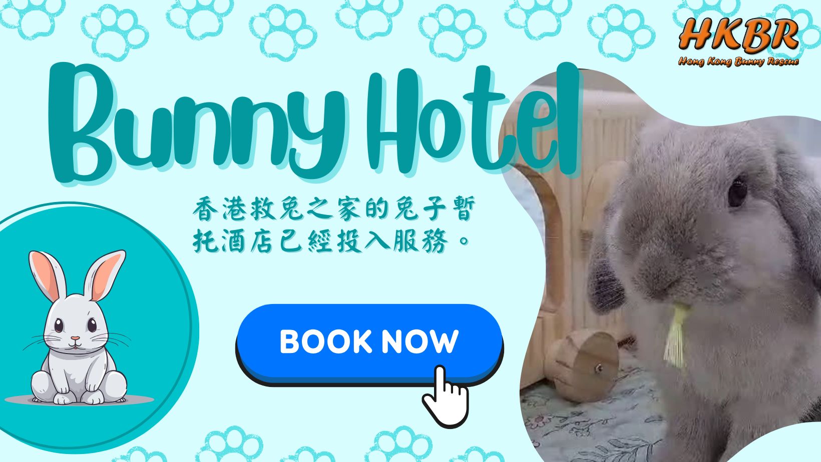 兔協 HKRS -... - 兔協 HKRS - 香港兔友協會 Hong Kong Rabbit Society