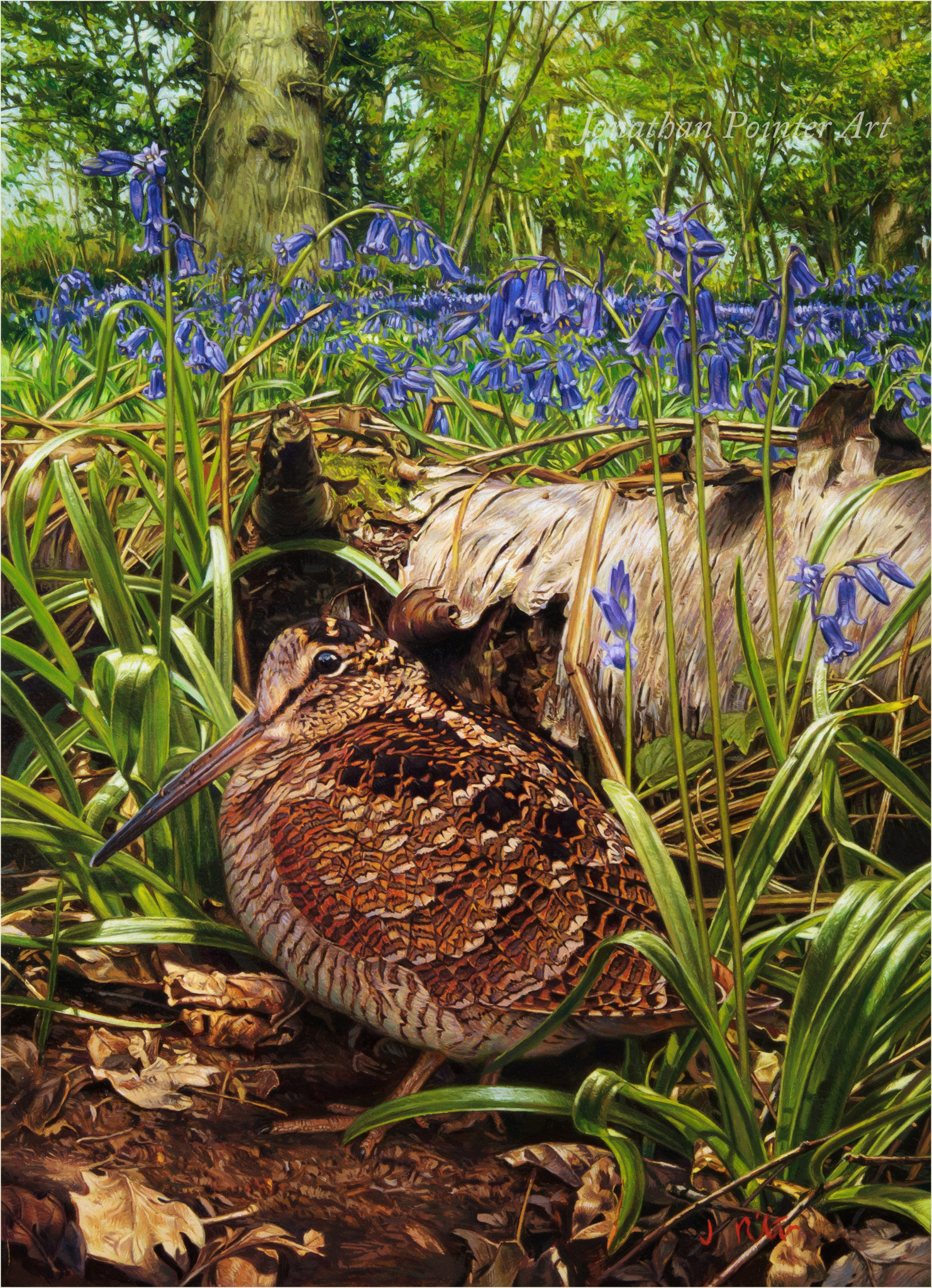 Jonathan Pointer Art