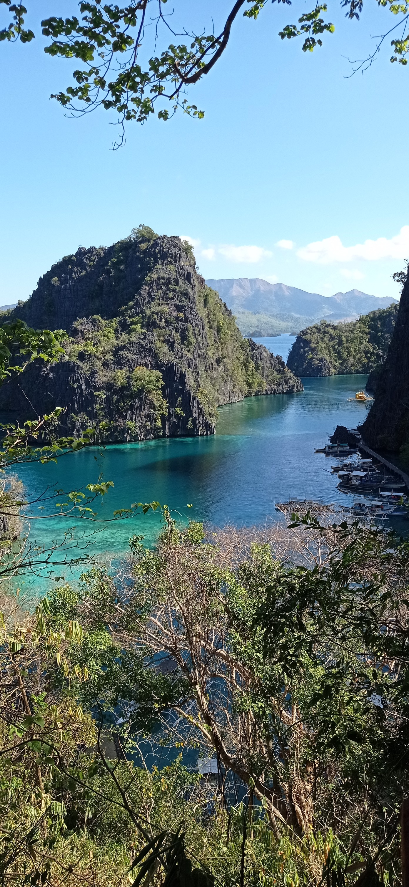 Notre programme Palawan est en ligne ! C'est l'une des destinations ...