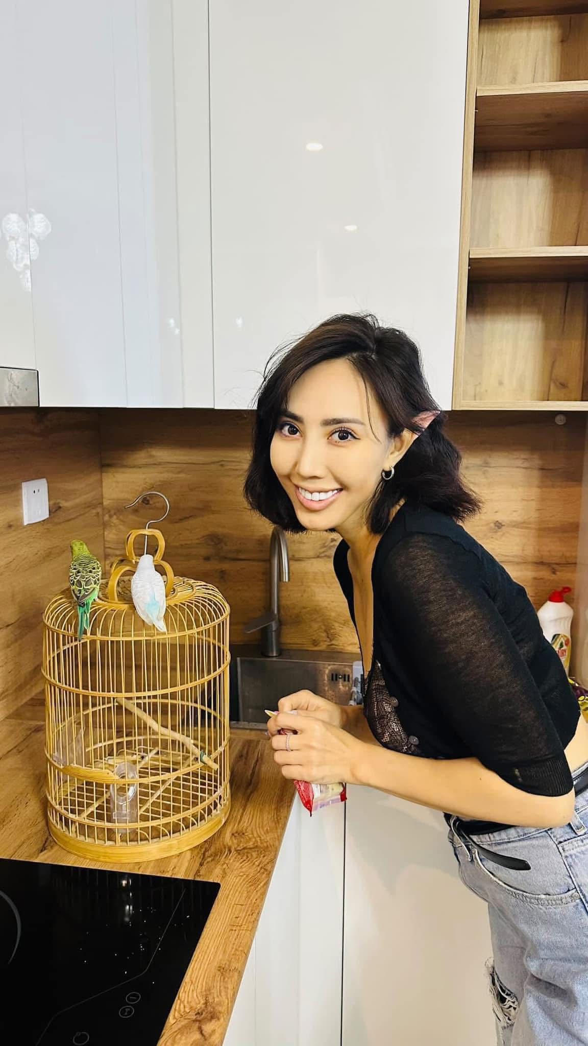 Rabbit Линз Худалдаа | Ulaanbaatar