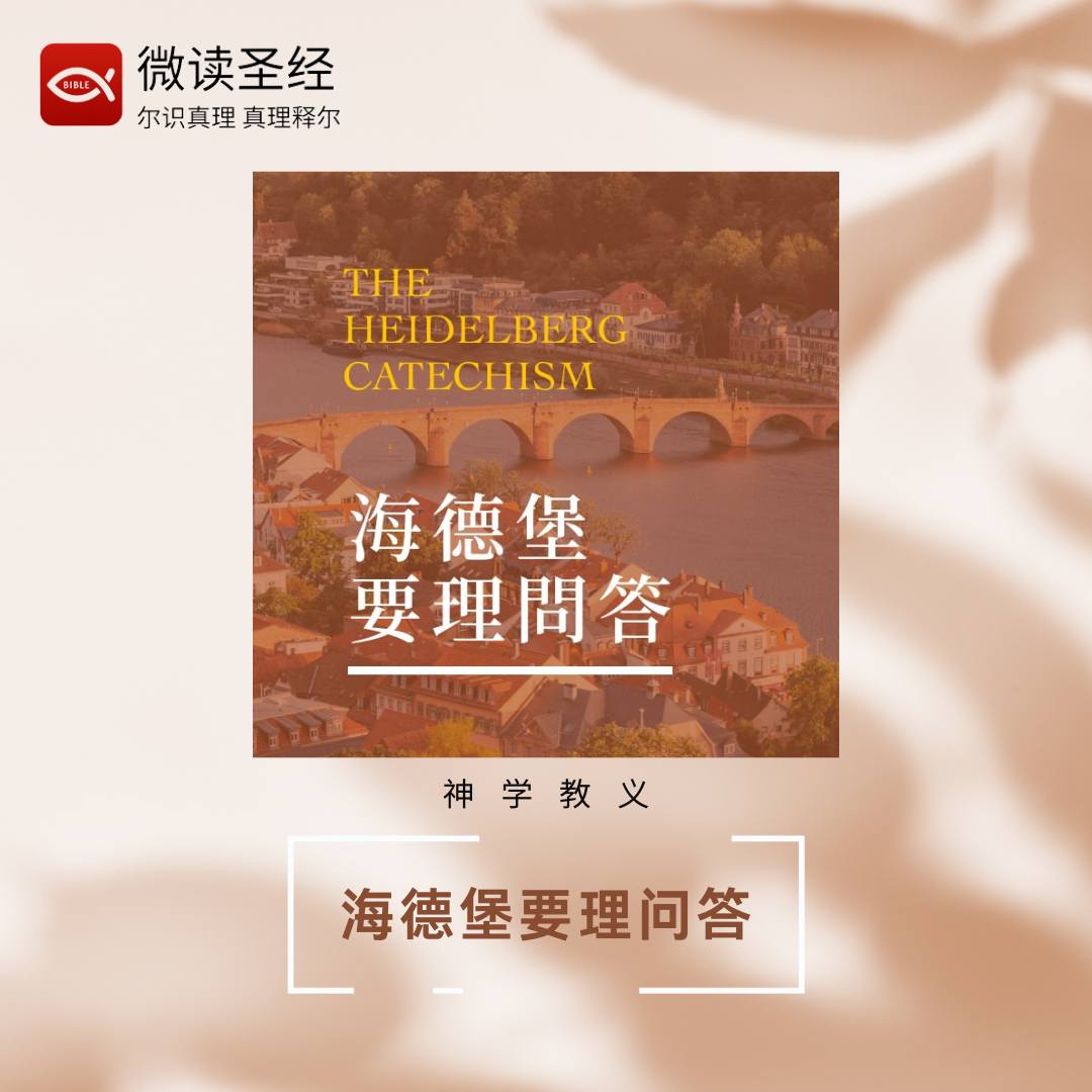 WeDevote Bible 微读圣经 - #微读圣经有声灵粮：海德堡要理问答 源于圣经的经典教理，塑造灵命的教导工具，个人灵修的“安慰之书 ...