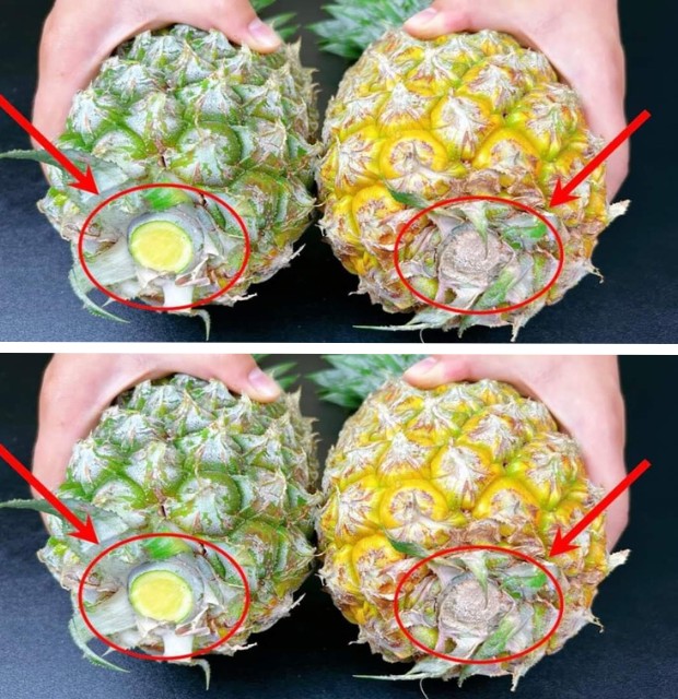 Raza Italiana - 👉Cómo saber si una piña es dulce antes de... | Facebook