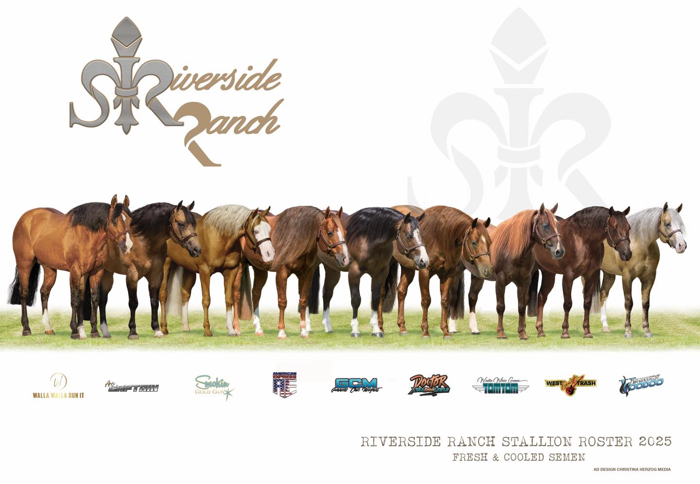 Frozen - ️RIVERSIDE RANCH STALLION ROSTER 2025 ️ •••••• FRESH & COOLED ...