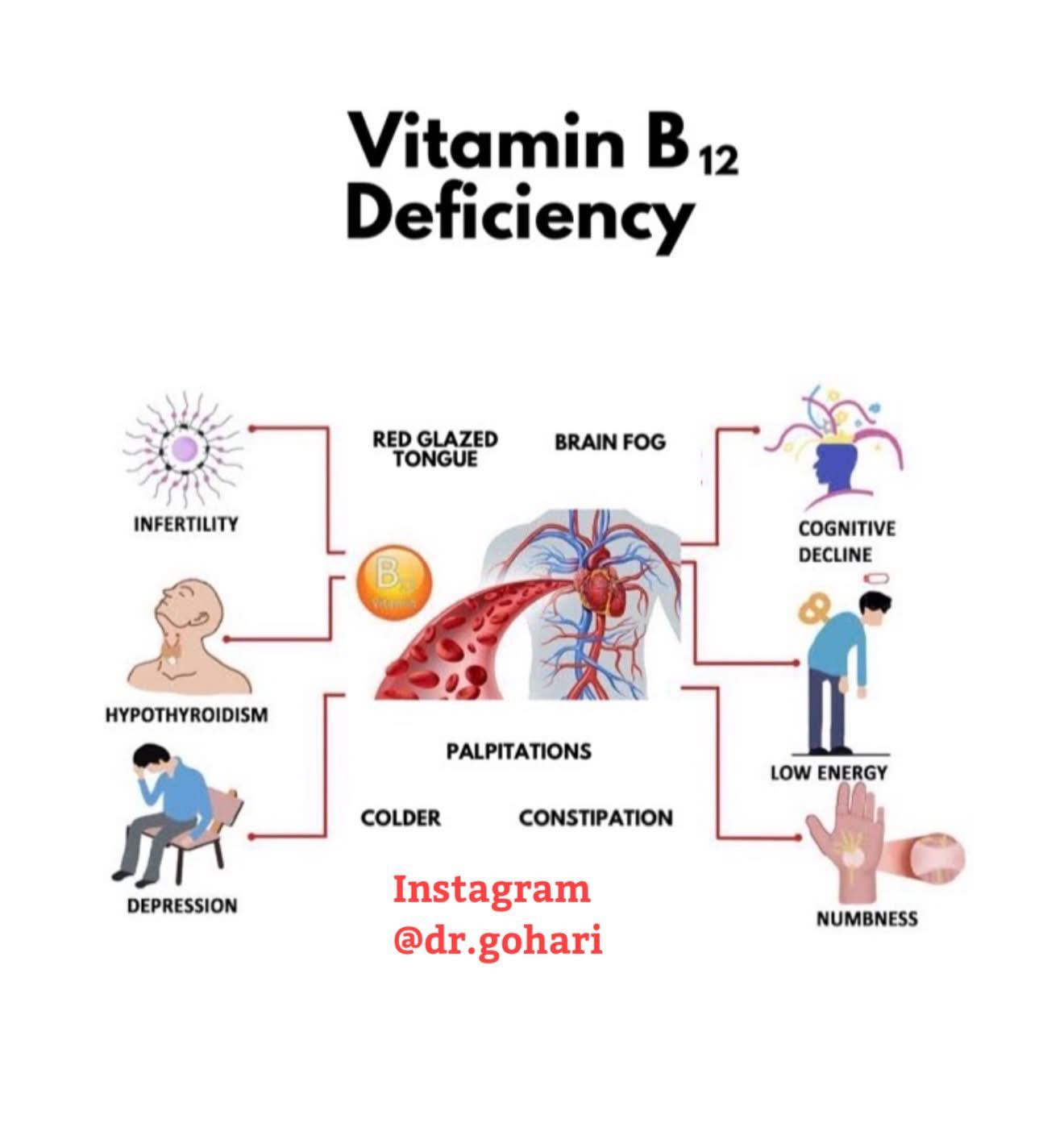 Which substance is elevated due to vitamin B12 deficiency?
