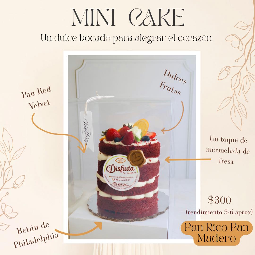 PAN RICO PAN TAMPICO-MADERO... - PAN RICO PAN TAMPICO-MADERO