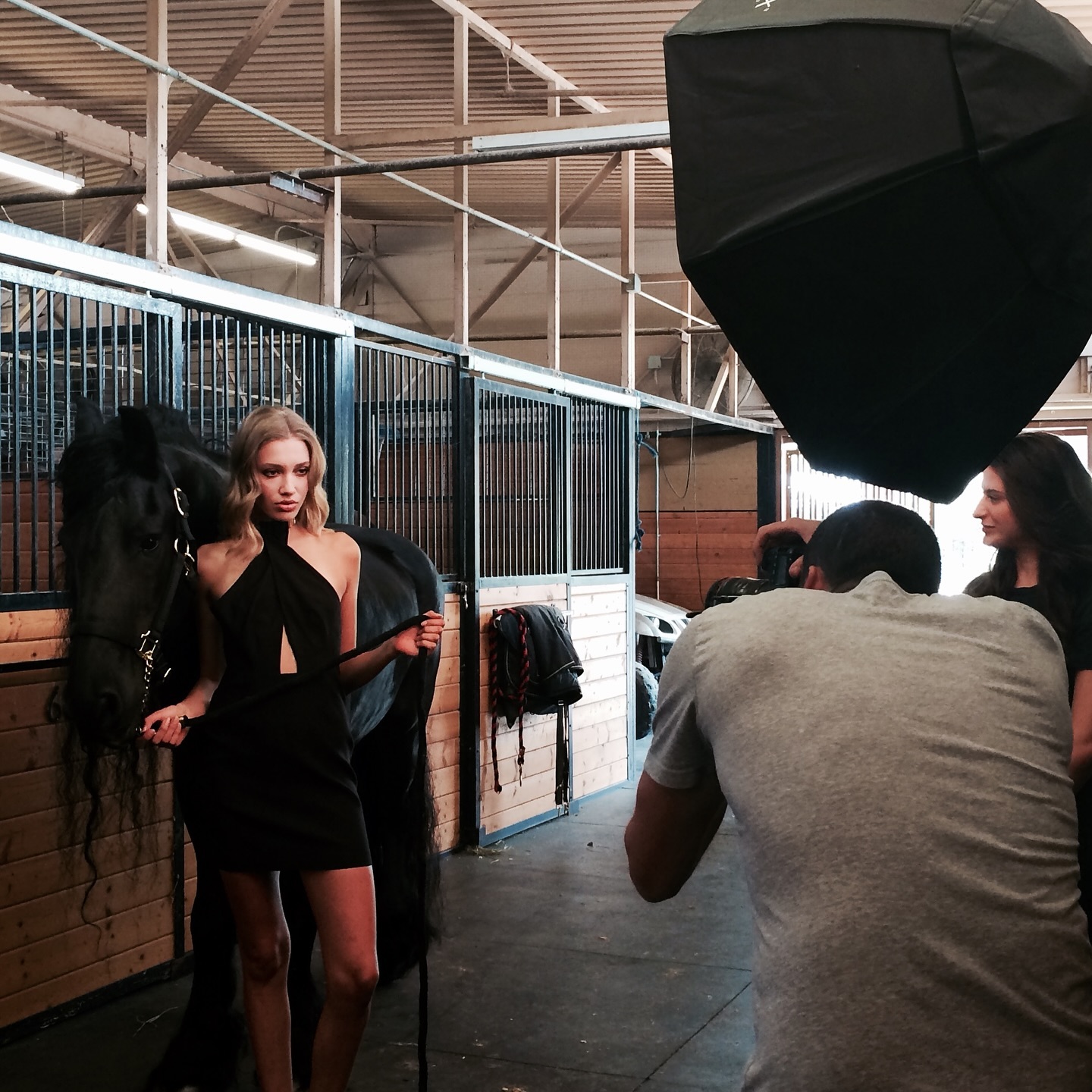 Triple R Boarding Stables | Glendale CA