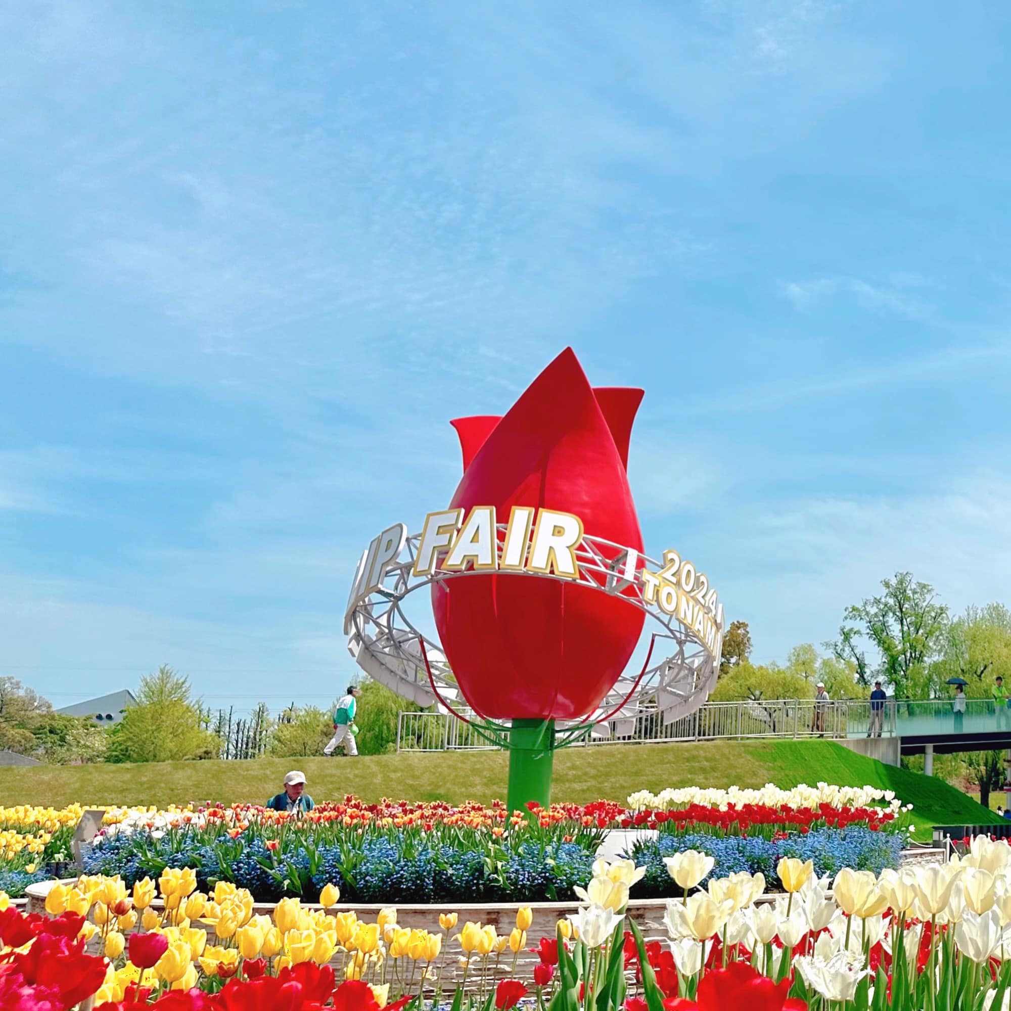 #รีวิว Tonami Tulip Fair 2024 🌷 ... - Purin in da world