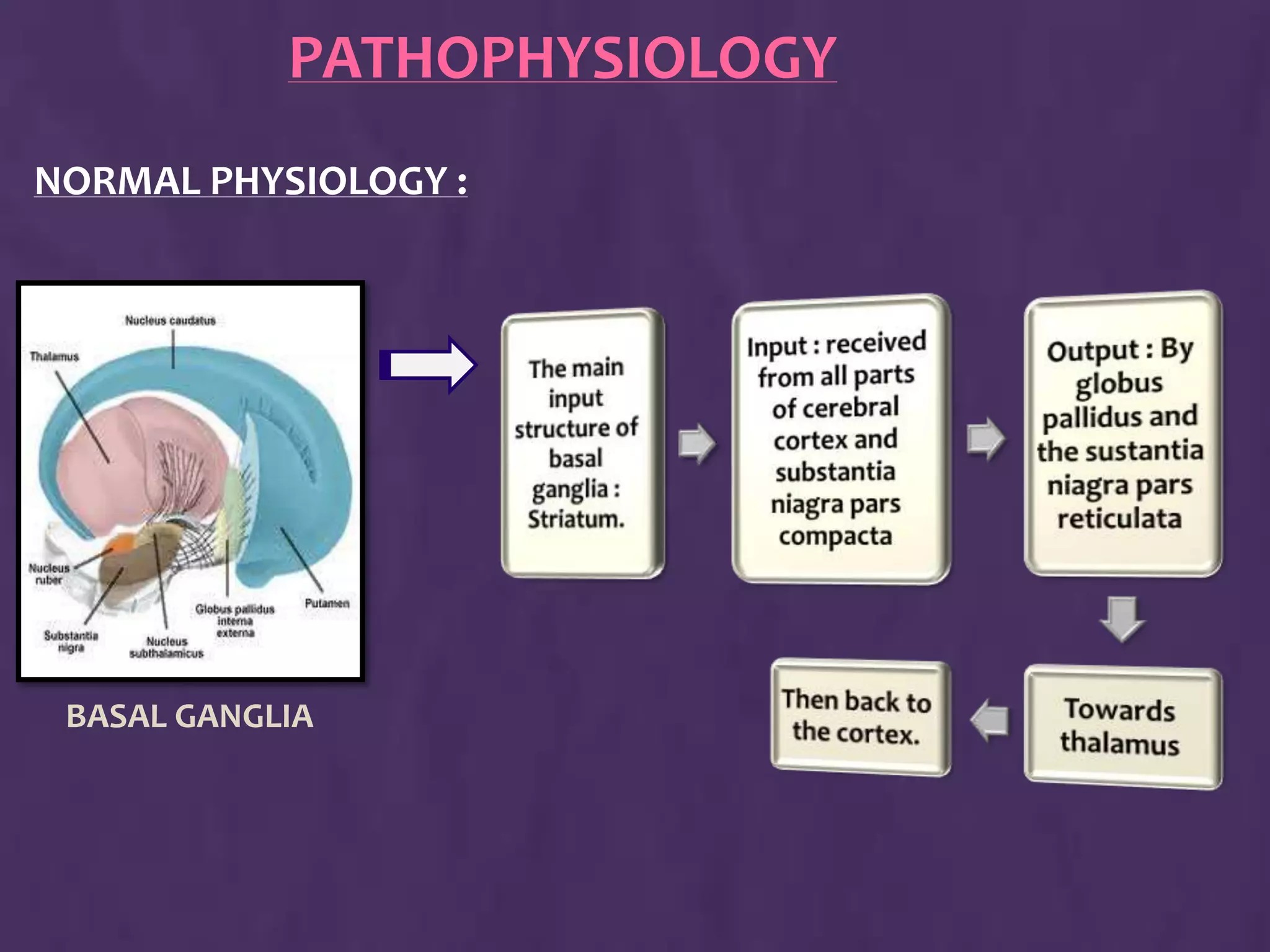 Science Of Medicine added a new photo. - Science Of Medicine
