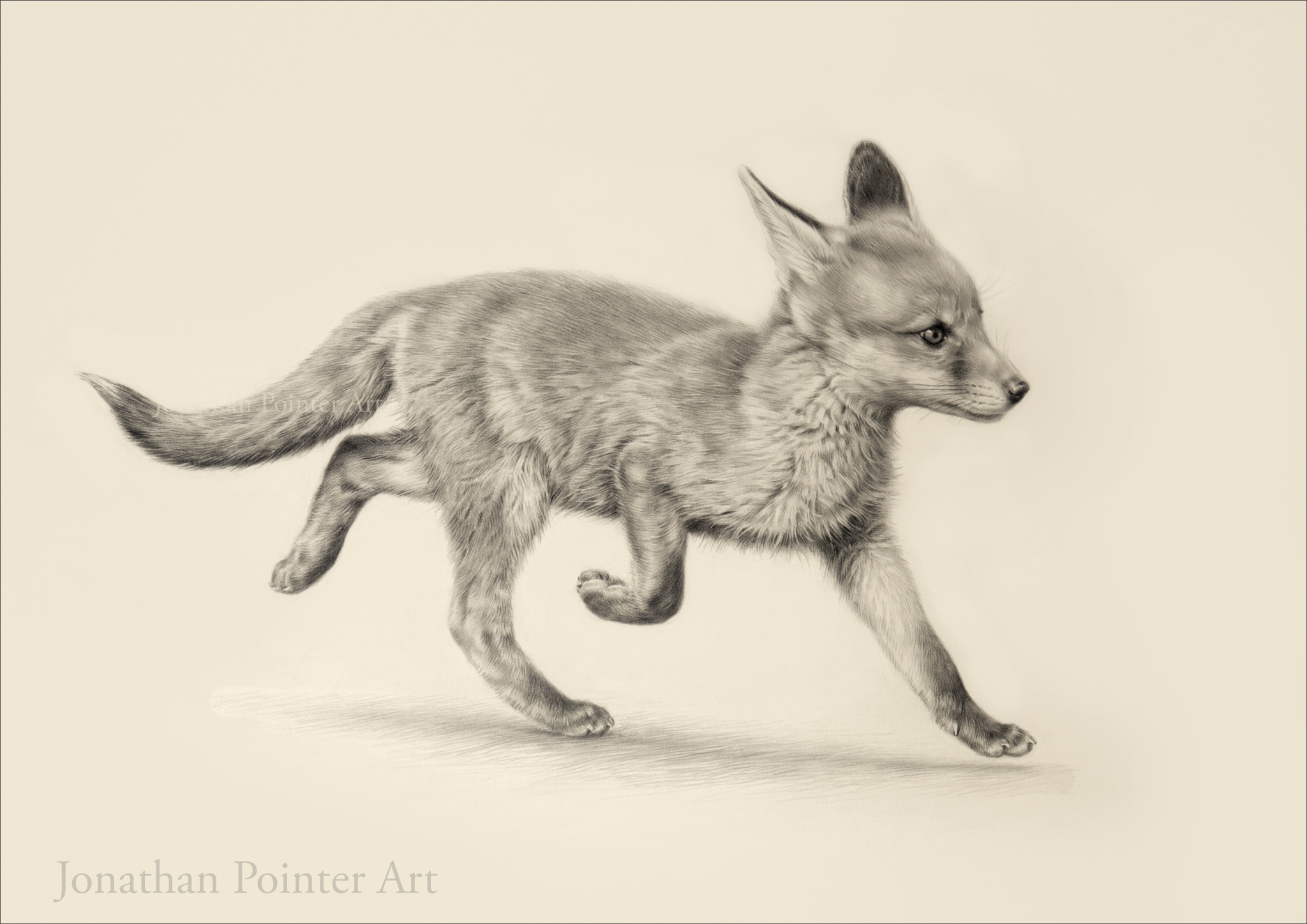 Jonathan Pointer Art