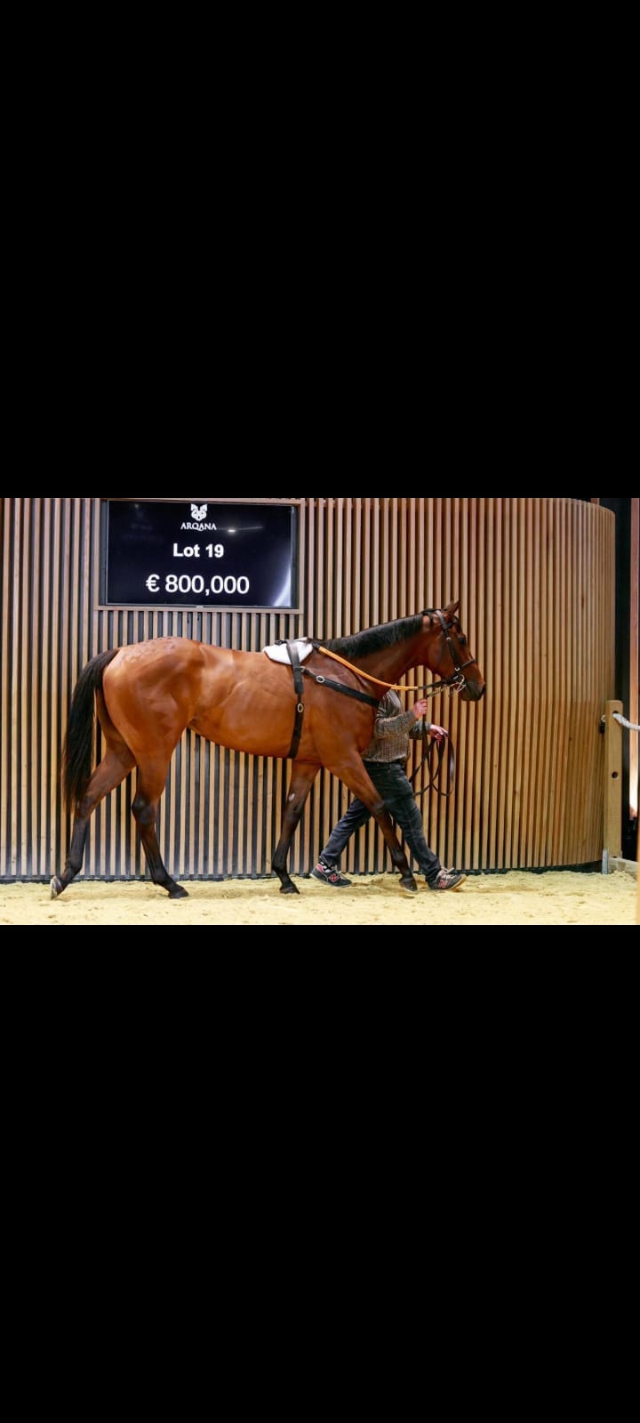 Michael O'Callaghan Racing | Dunlavin