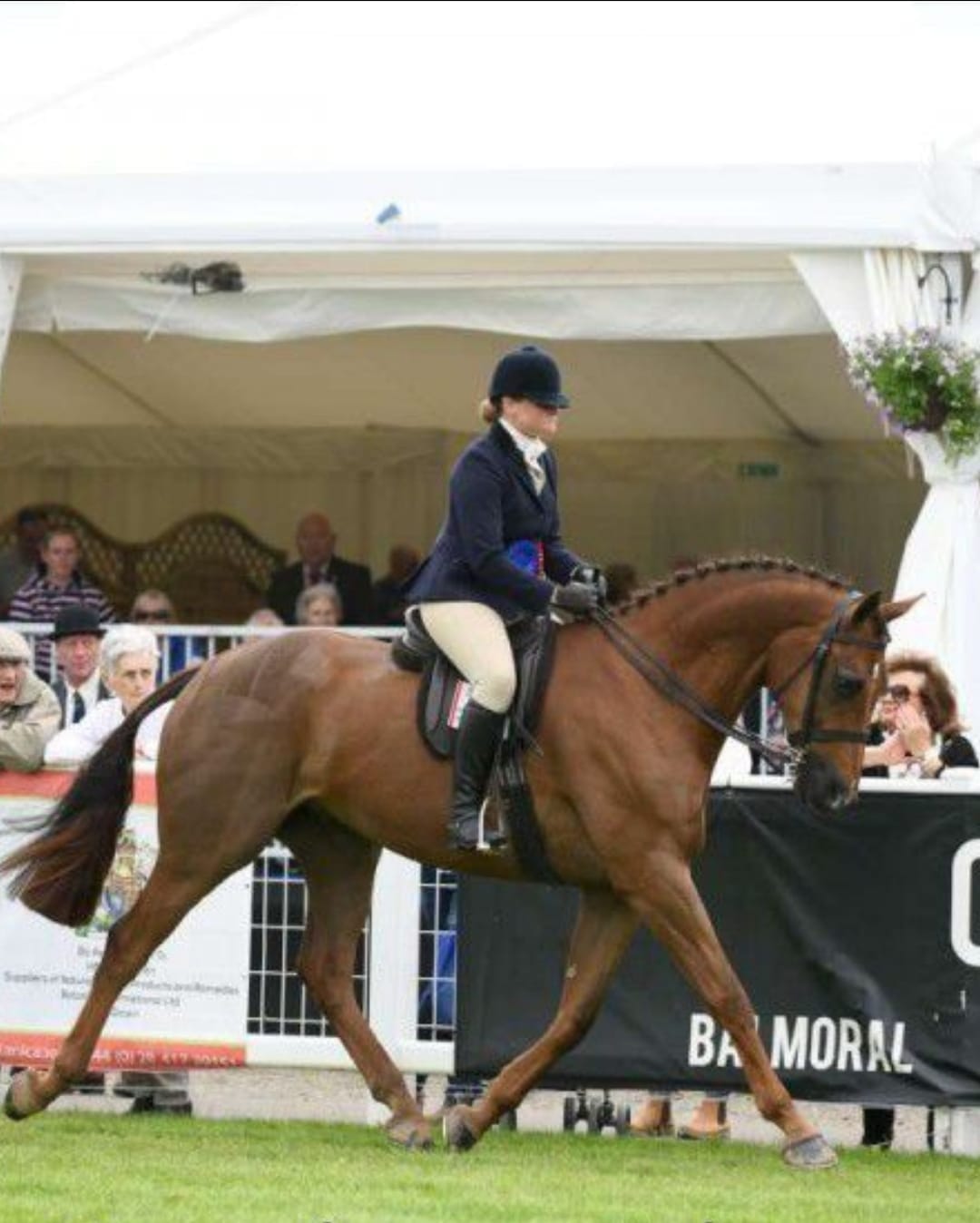 Michael O'Callaghan Racing | Dunlavin