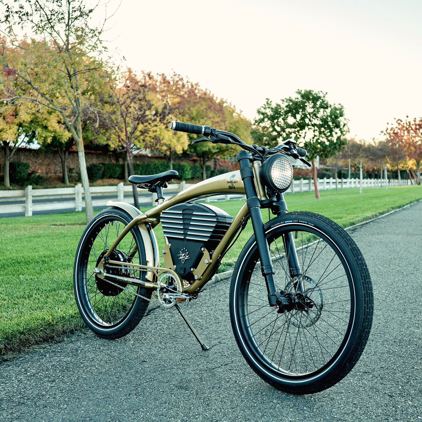 shelby electric bicycle Vintage New Vintage Electric Ebike Inspired